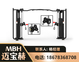 长治大飞鸟训练器